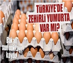 Bakan Fakıbaba :Türkiye